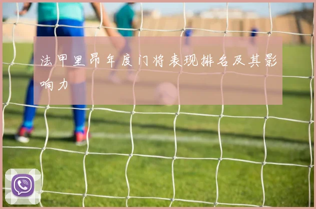 法甲里昂年度门将表现排名及其影响力