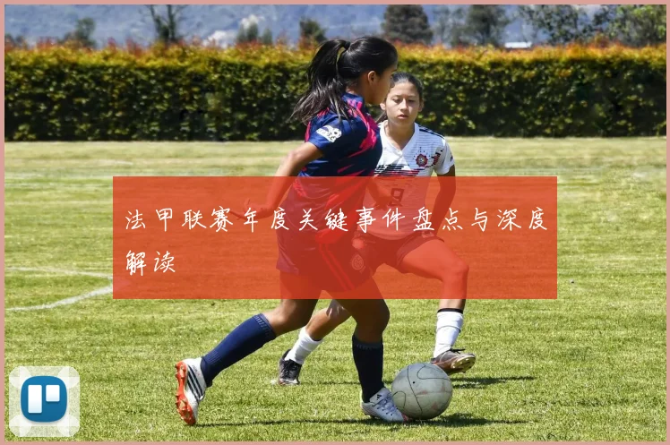 法甲联赛年度关键事件盘点与深度解读